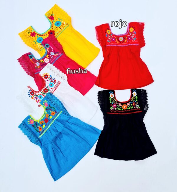 Blusa
