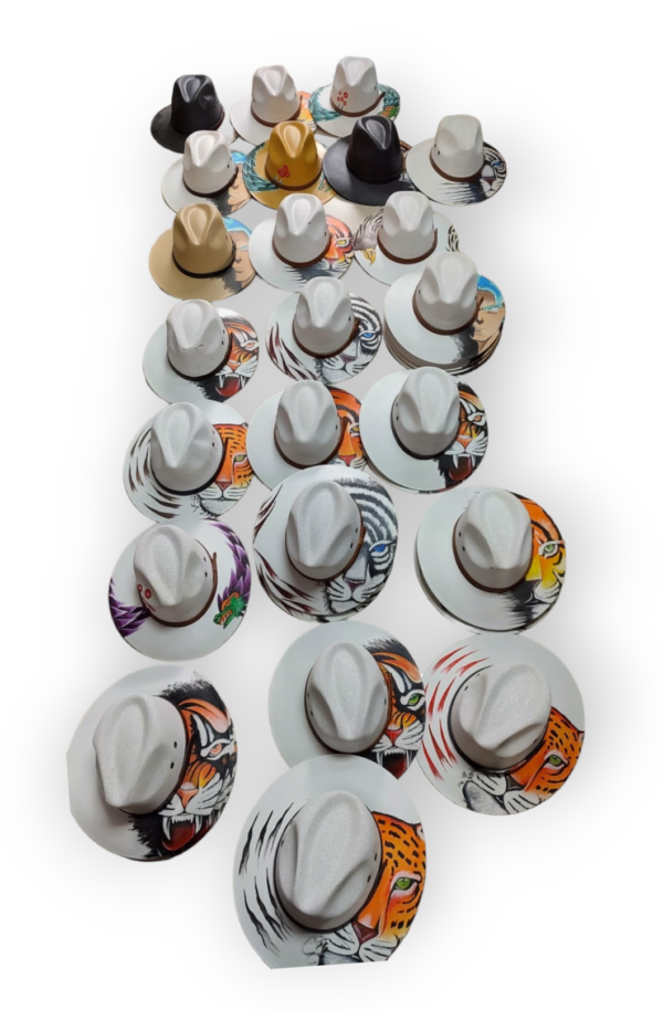 SOMBRERO CABALLERO PINTADO - Imagen 2